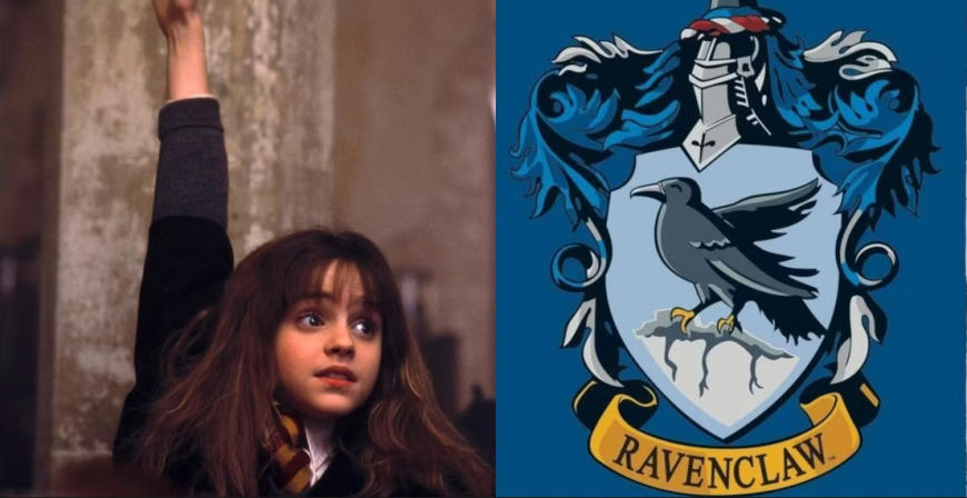Гарри Поттер: Почему Гермиона не была в Рейвенкло?
